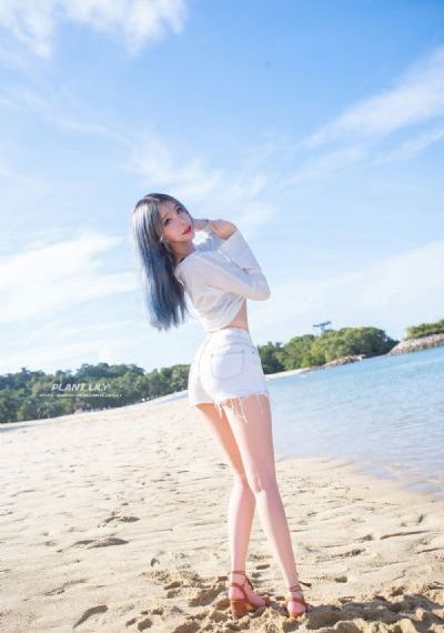 又黄又免费又刺激_老版国语字幕